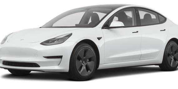 TESLA MODEL 3 2021 5YJ3E1EB8MF002858 image